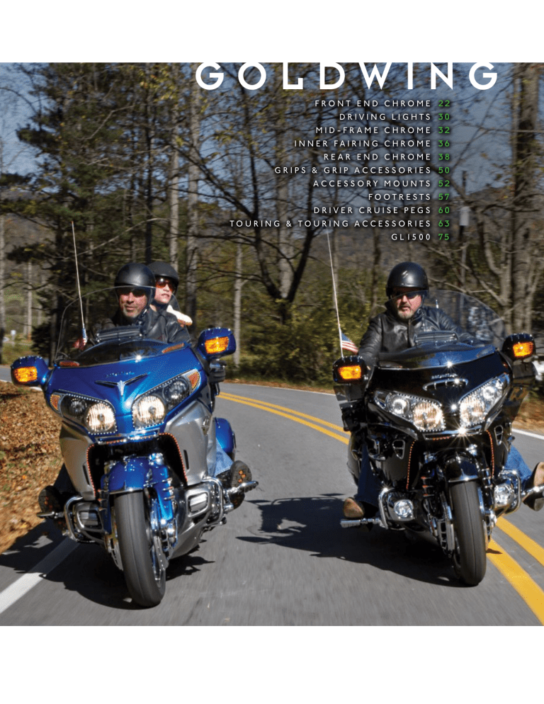 goldwing goldwing