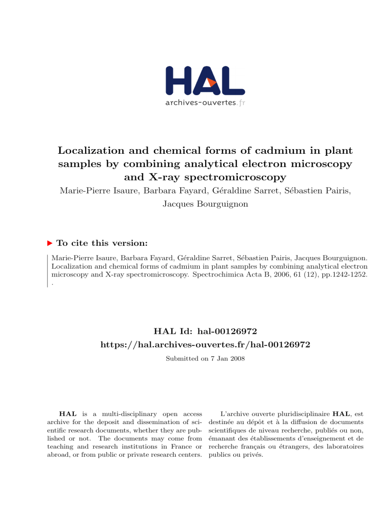 Localization and chemical forms of cadmium in plant samples Localization and chemical forms of cadmium in plant samples