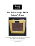Trinity Amps Triton Builder's Manual