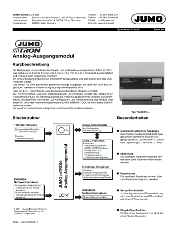 Jumo Mtron Analogue Output Module Datenblatt Manualzz