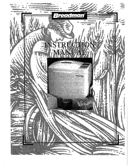 breadman tr550 recipes