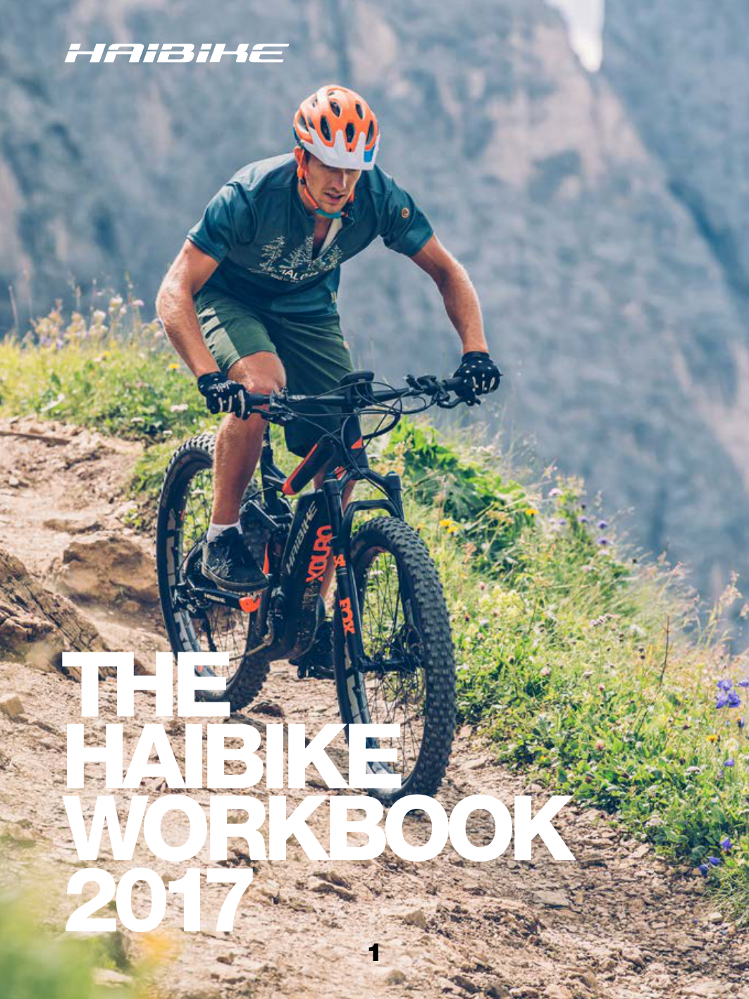 2017 Workbook The haibike | Manualzz