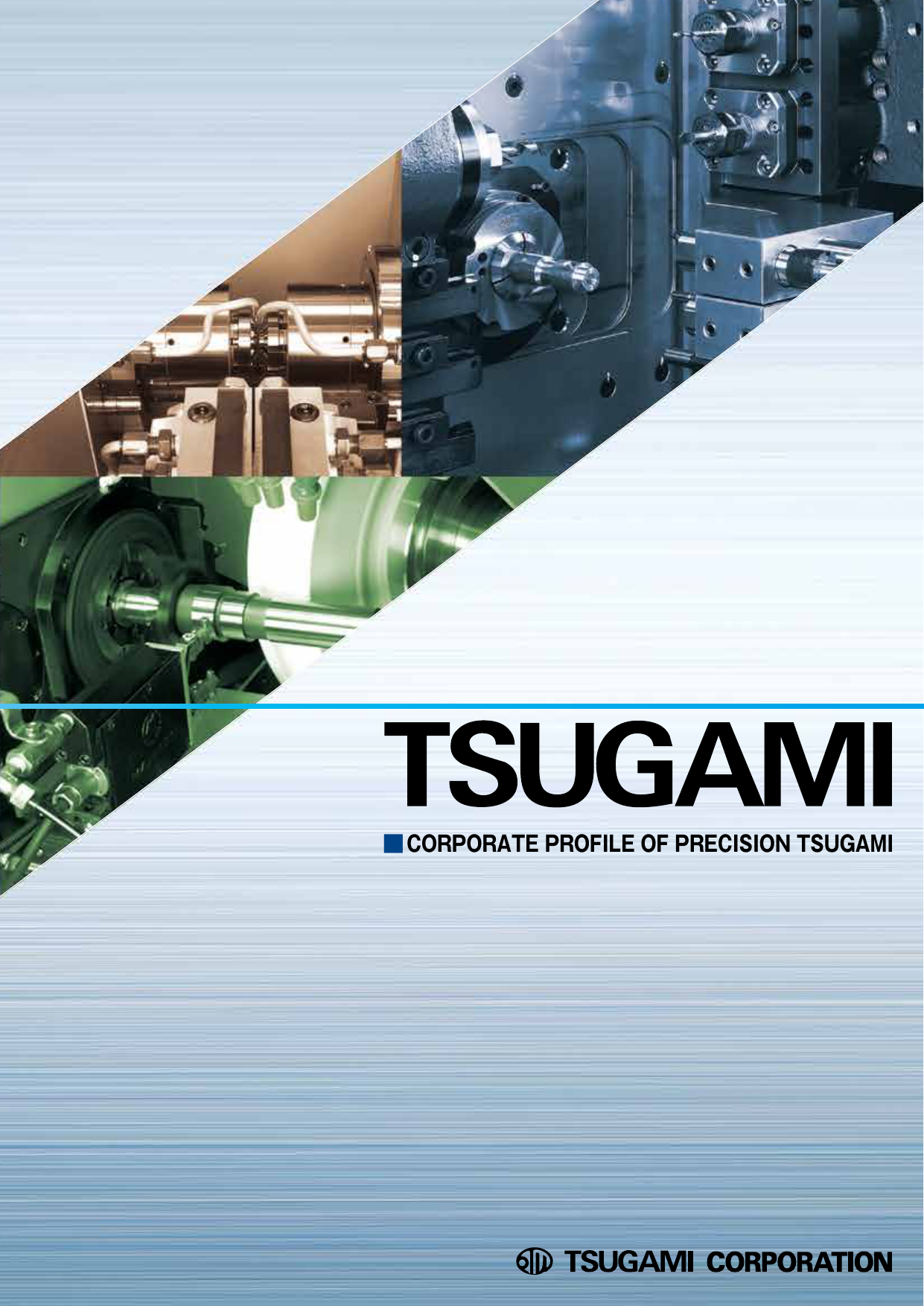 CORPORATE PROFILE OF PRECISION TSUGAMI | Manualzz