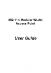 Formosa Wireless Systems Corp WNQ-KWG6000 ModularWLAN Access Point User Manual