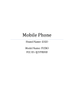 p.Lachman (HK) Q2YFIERO MobilePhone User Manual