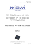 Wi2Wi U9R-W2CBW0016 Wi-Fib/g/n+Bluetooth 3.0 SIP User Manual