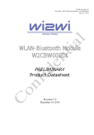 Wi2Wi U9R-W2CBW009DI WLAN-BluetoothModule User Manual