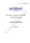 Wi2Wi U9R-W2CBW009S WLAN-BluetoothModule User Manual
