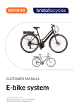 BAFANG BT C01.450.UART, RM G020.250.DC Customer's Manual