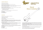 Vigier ArpEge 5 Strings Series Manual