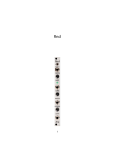 Steady State Fate DivKid RND Manual