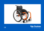 Progeo Ego Custom User Manual