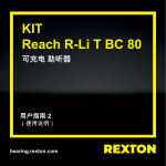 力斯顿Reach R-Li T BC 80用户指南：AI聊天&amp;PDF下载